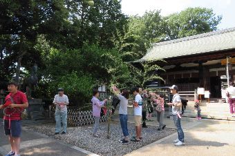 tanabata